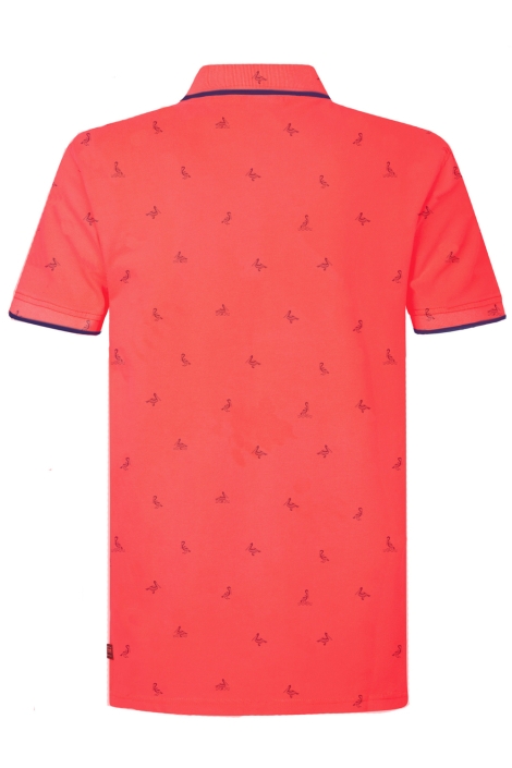 Petrol Industries men polo short sleeve